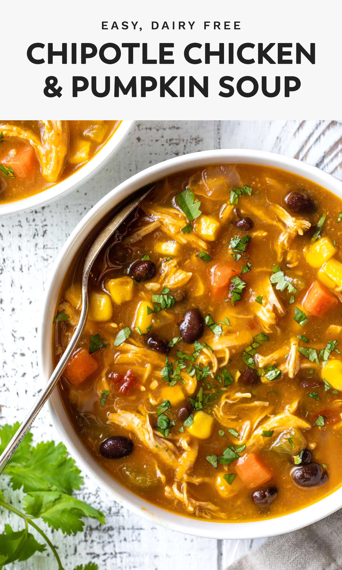 easy dairy free Chipotle chicken and pumpkin soup