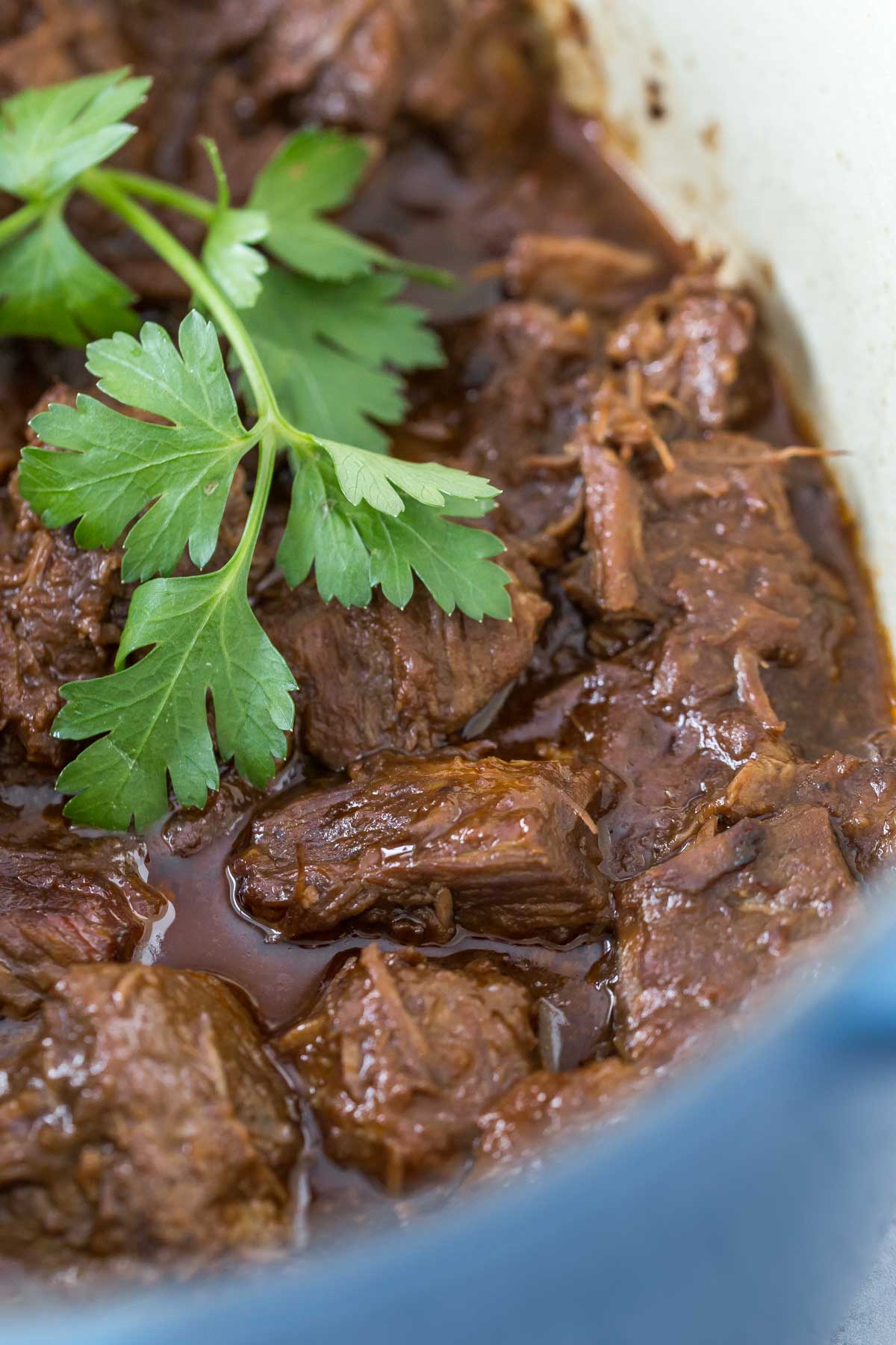 closeup of Guinness braised beef cooked with a sprig of fresh parsley in a blue Dutch oven