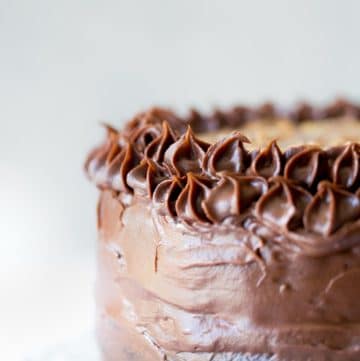 Chocolate Pecan Praline Cake Simply Whisked