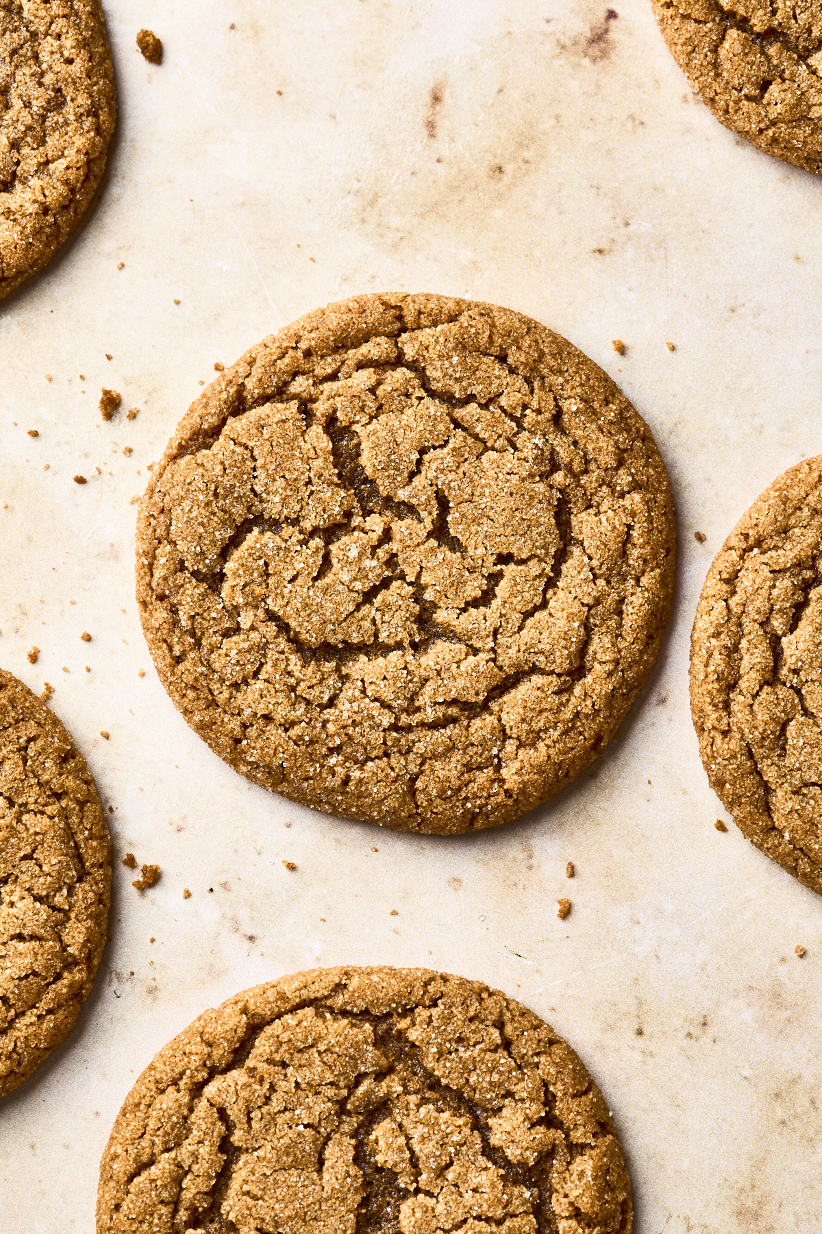 A close-up view of several round, golden-brown soft gingersnap cookies with a cracked surface, arranged on a light-colored baking sheet.