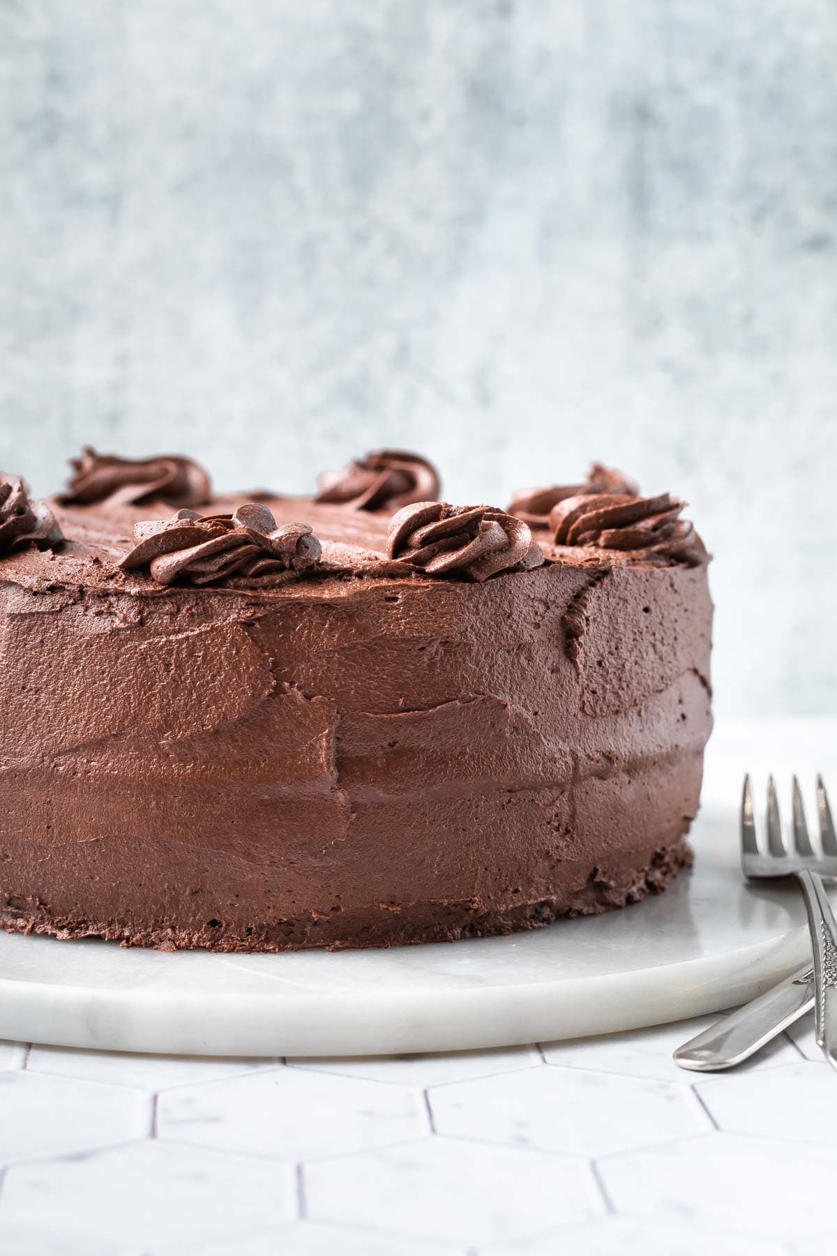 side view of dark chocolate cake without slices visible creamy frosting