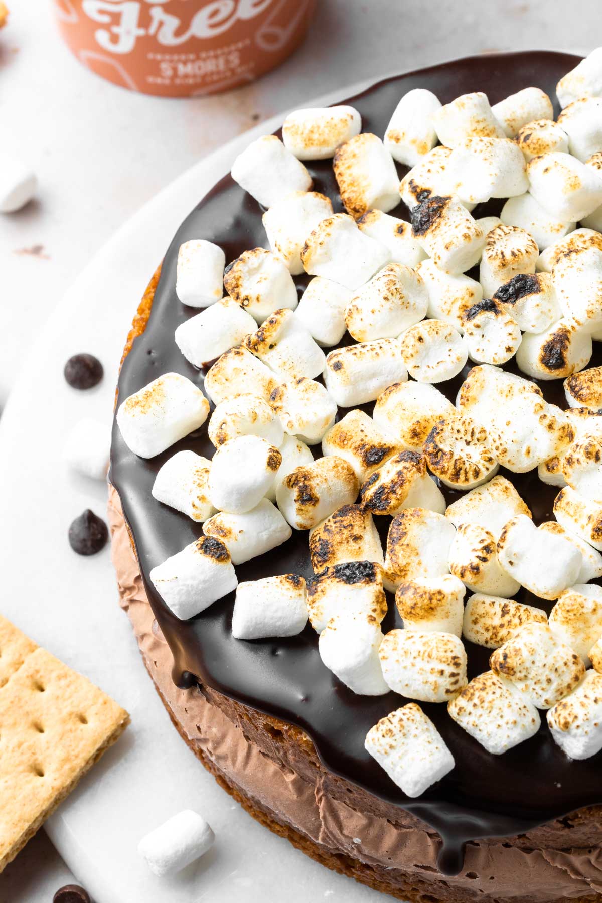 closeup of toasted marshmallows on top of a s'mores graham cracker cake filled with ice cream