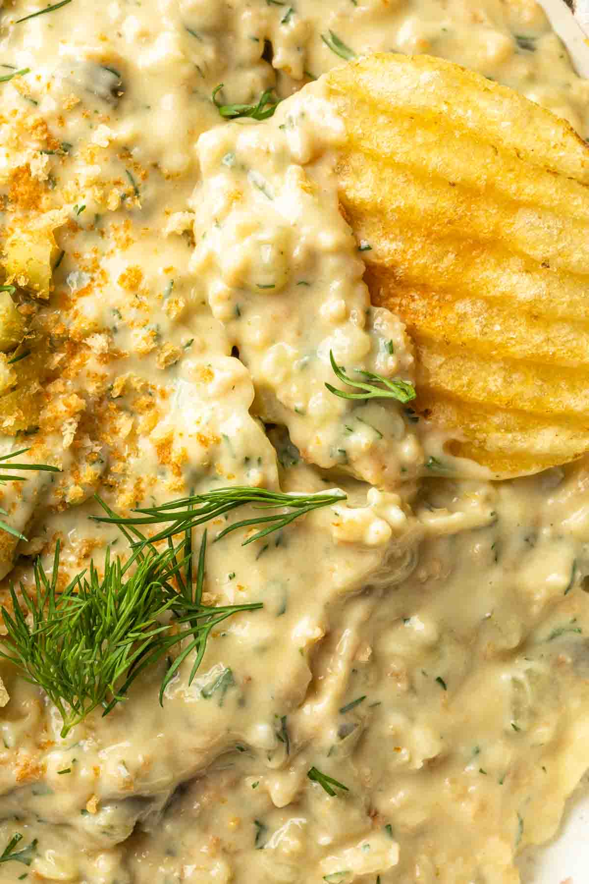 Close up of a bowl of dip garnished with fresh dill, with a chip dipped in it. 
