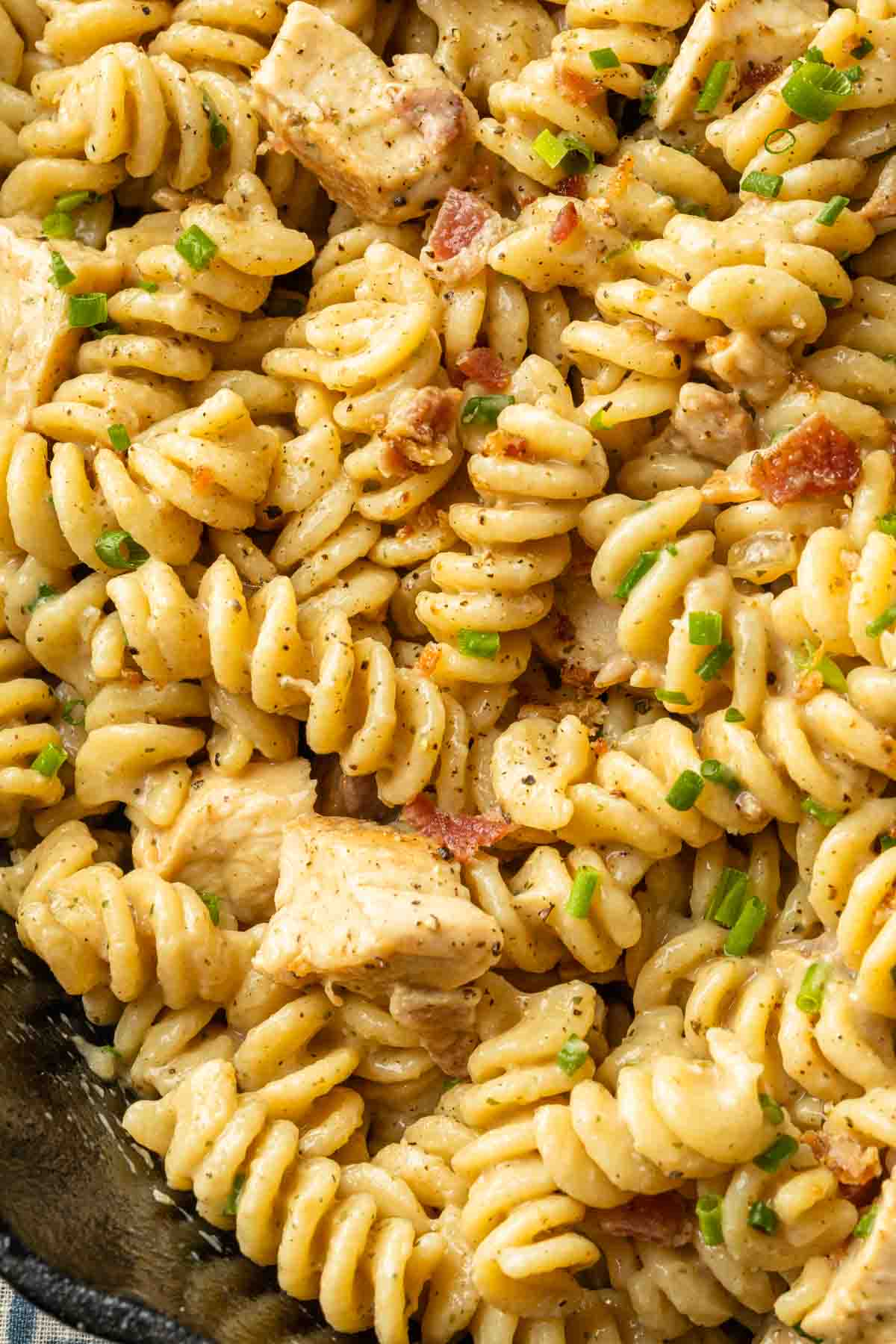 Close up of rotini pasta in a ranch sauce with bacon and chicken, garnished with chopped fresh chives. 