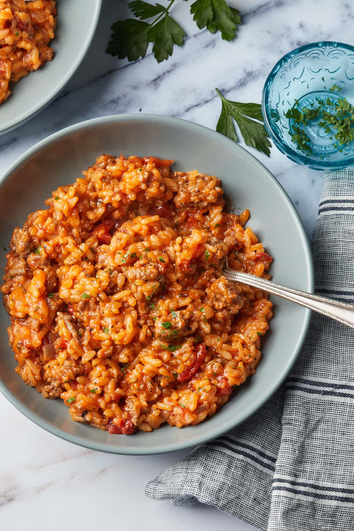 A bowl of italian tomato rice with meat.
