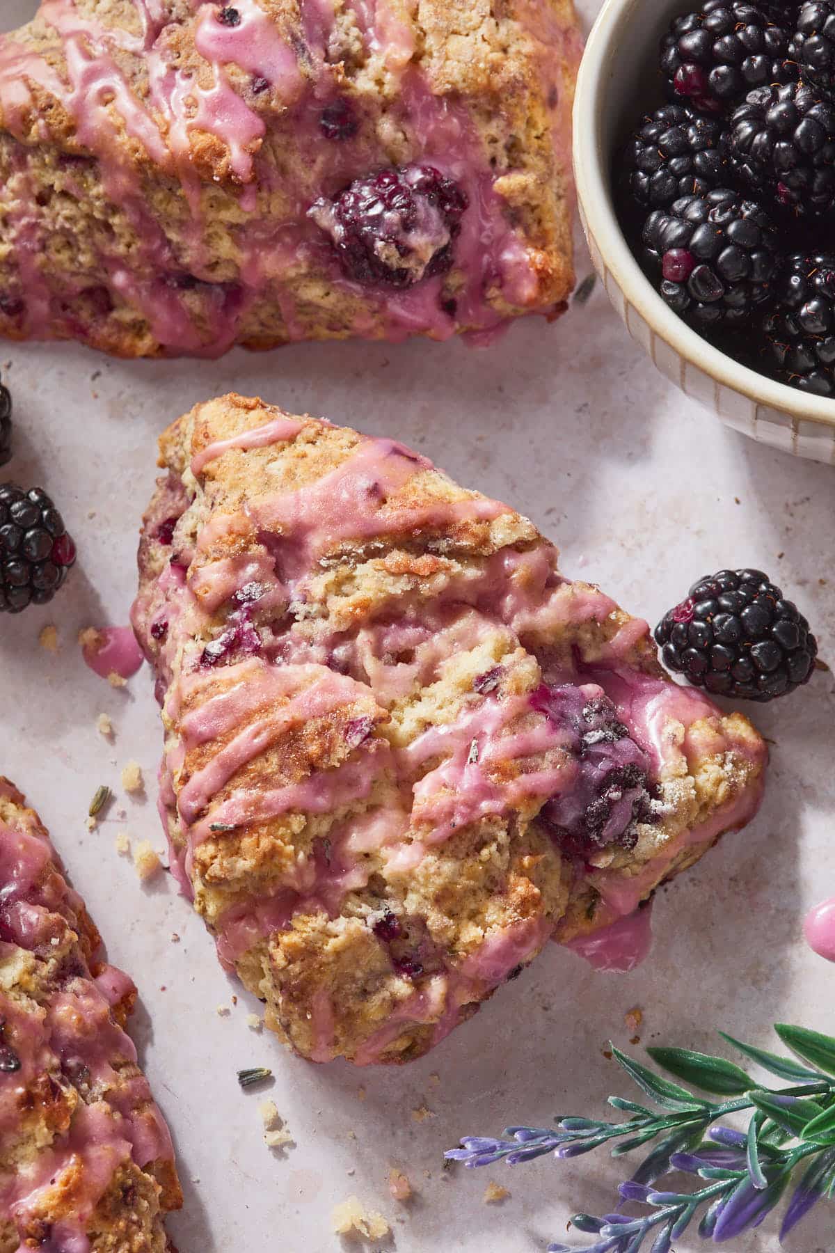 Close up of a blackberry scone with lavender, showing the flakey texture of the scone.