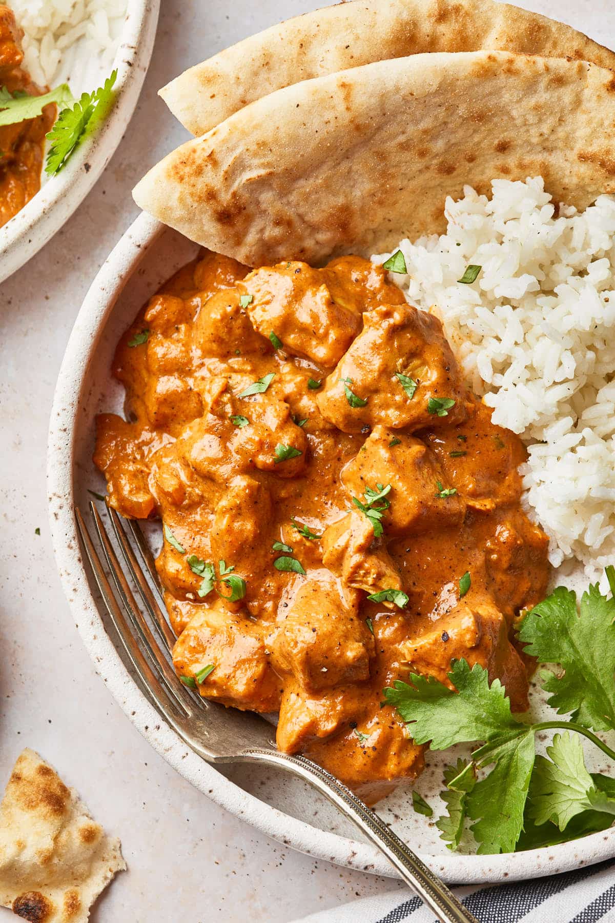 Close up of curried chicken with rice and naan bread in bowl. 