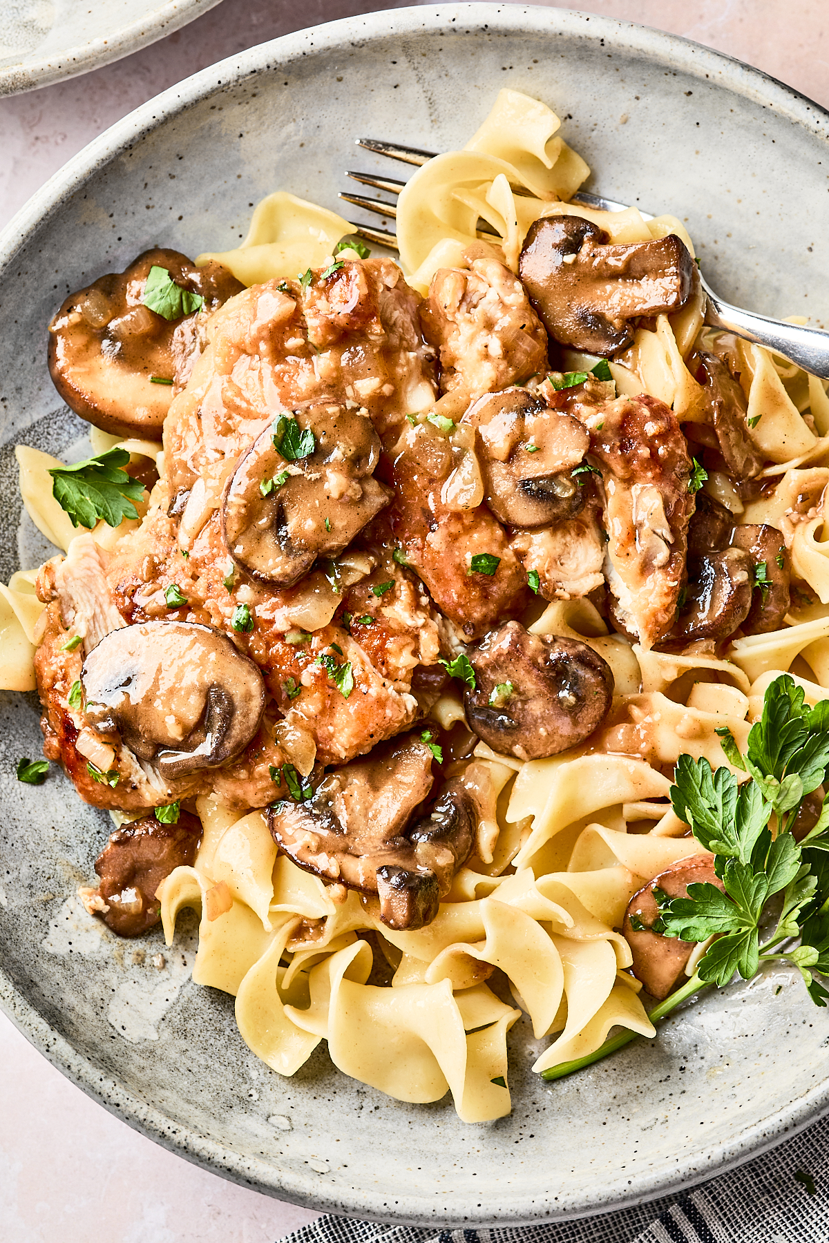 A plate of egg noodles topped with chicken and saut&eacute;ed mushrooms in a creamy sauce, garnished with chopped parsley. A fork rests on the side of the plate.